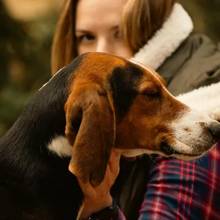 Willa Tarushka House *