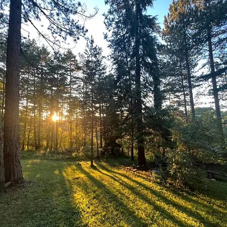 Tarushka House Willa