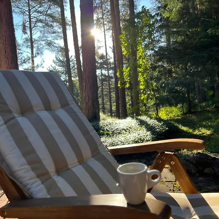 Willa Tarushka House