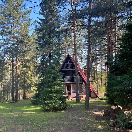 Villa Tarushka House
