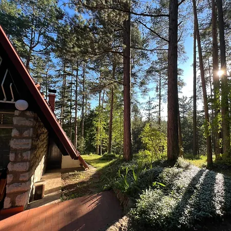 Willa Tarushka House